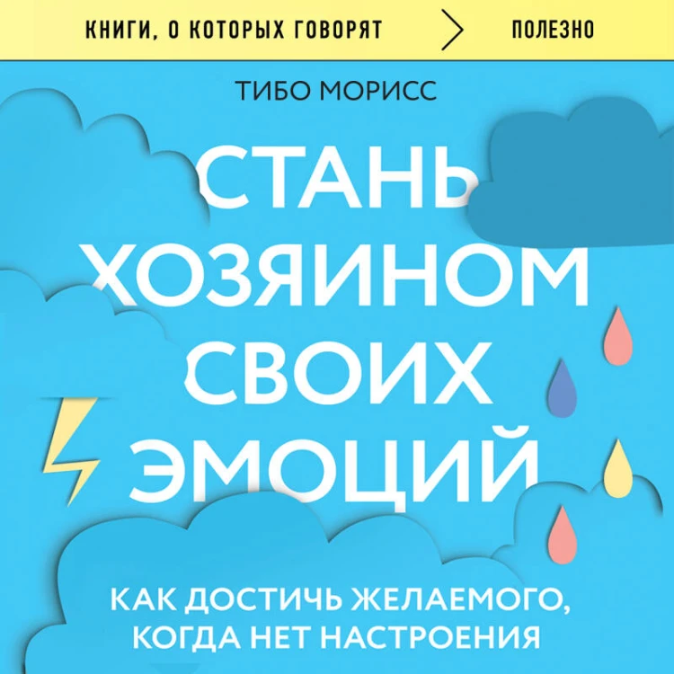 Стань хозяином своих эмоций. Как достичь желаемого, когда нет настроения