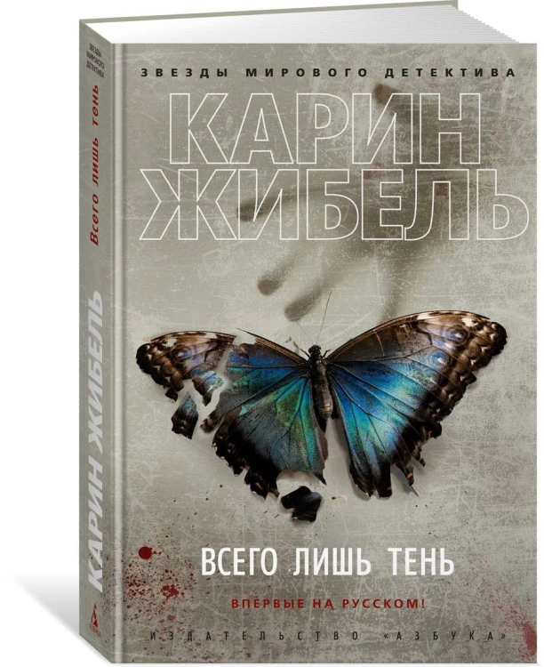Всего лишь тень