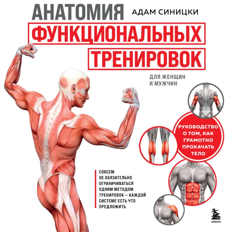 Анатомия функциональных тренировок. Руководство о том, как грамотно прокачать тело