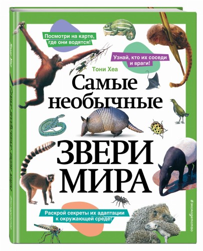 Самые необычные звери мира