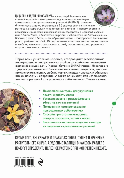 Декоративные лекарственные растения на даче. Как выращивать, заготавливать и применять 200 популярных видов