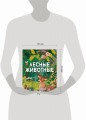 Лесные животные