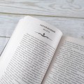 Самая страшная книга 2024
