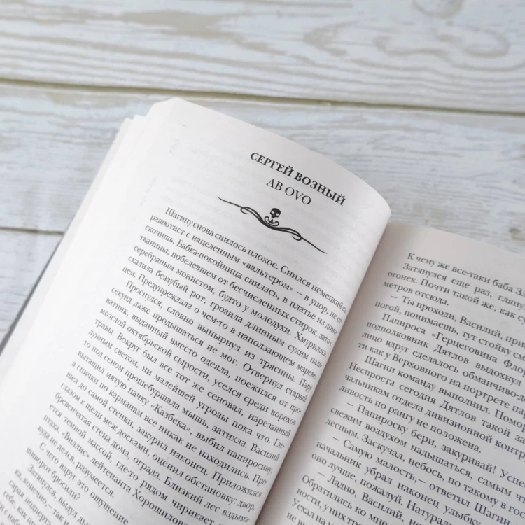 Самая страшная книга 2024