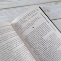 Самая страшная книга 2024