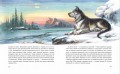 Бродяги Севера (ил. В. Канивца)