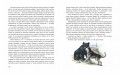 Бродяги Севера (ил. В. Канивца)