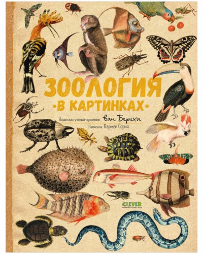 Удивительные энциклопедии. Зоология в картинках 8362