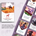 Набор "Романы характеров и среды Томаса Гарди" (из 2-х книг: "Вдали от обезумевшей толпы", "Тэсс из рода д'Эрбервиллей")