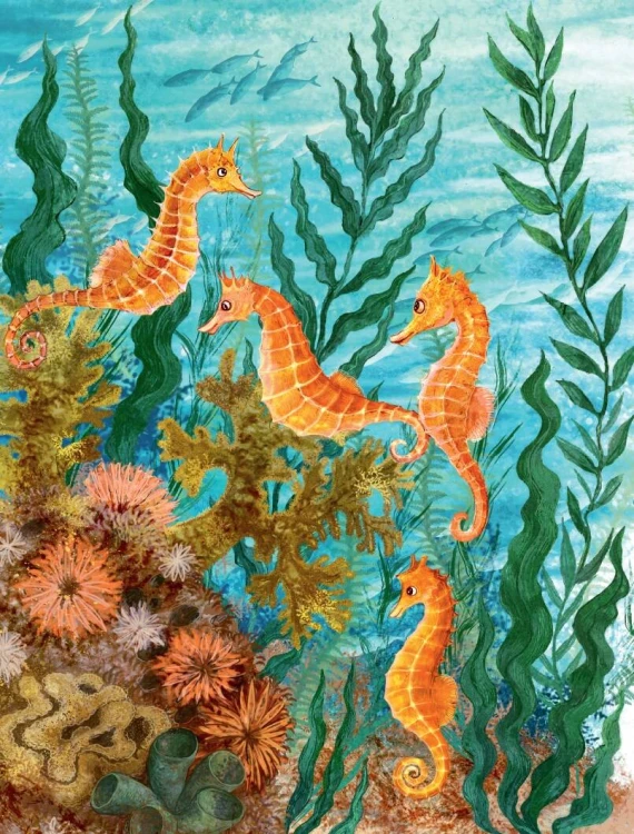 Морские сказки для почемучки