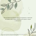 Эликсир для души. Метафорические ассоциативные карты, которые исцелят, дадут опору, подскажут лучшее решение