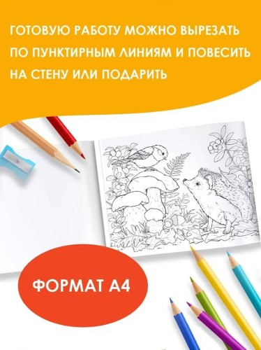 Круглый год