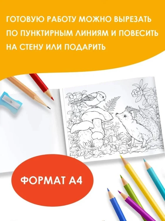 Круглый год