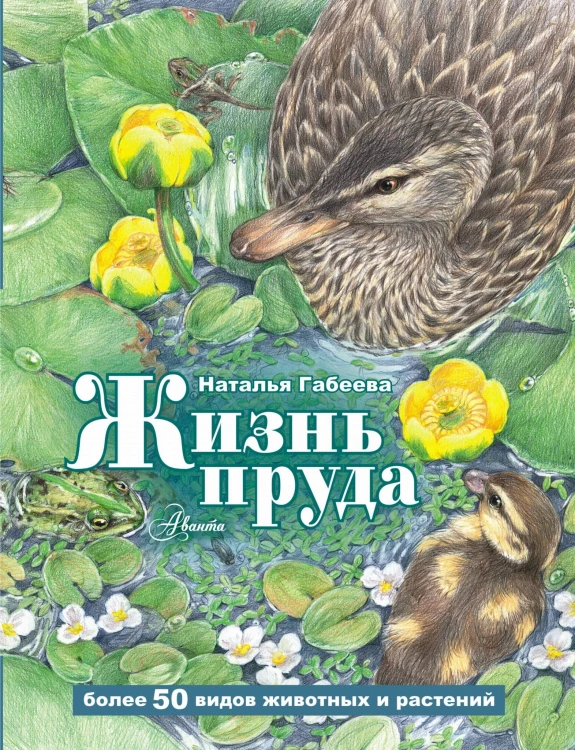 Жизнь пруда