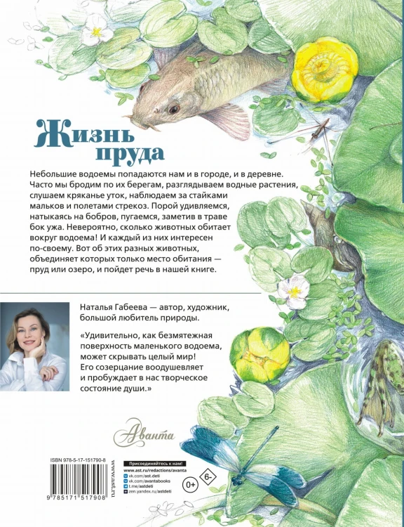 Жизнь пруда