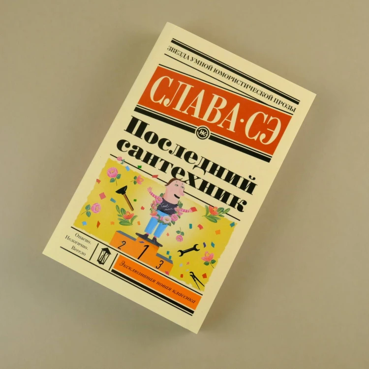 Последний сантехник