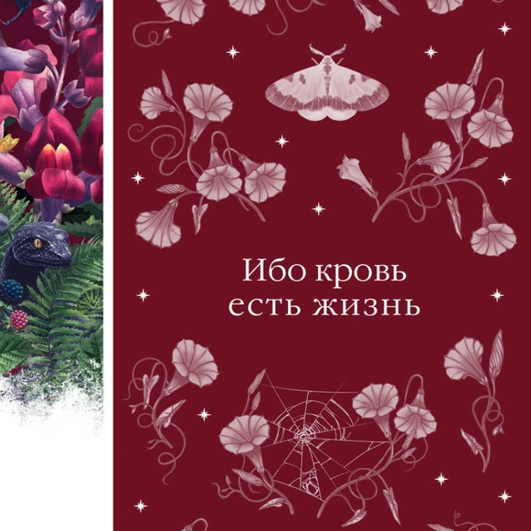 Набор: Элегантная мистика (из 4-х книг: "Дракула", "Кармилла", "Ибо кровь есть жизнь", "Истории о призраках")