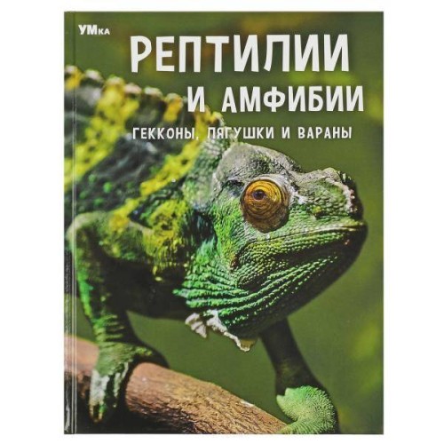 Рептилии и амфибии. Гекконы, лягушки и вараны. Энциклопедия. 197х255мм. 7БЦ. 48 стр. Умка в кор.15шт