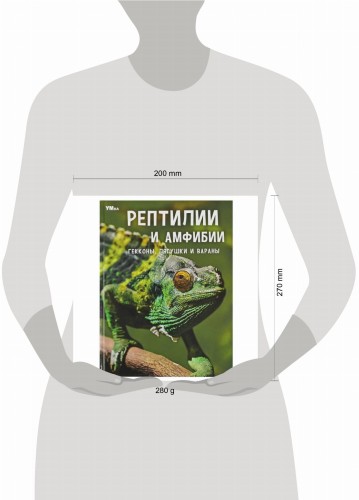 Рептилии и амфибии. Гекконы, лягушки и вараны. Энциклопедия. 197х255мм. 7БЦ. 48 стр. Умка в кор.15шт