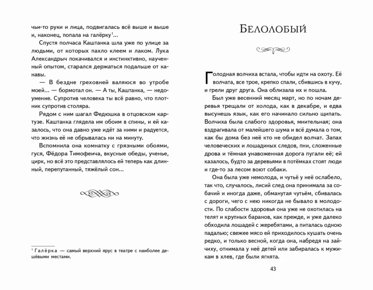 Каштанка. Мальчики и другие рассказы (ил. М. Белоусовой, Д. Кардовского)