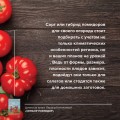 Сеньор Помидор. Выращиваем, ухаживаем и едим