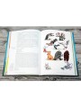 Книга чудес: Иллюстрированное пособие по созданию художественных миров