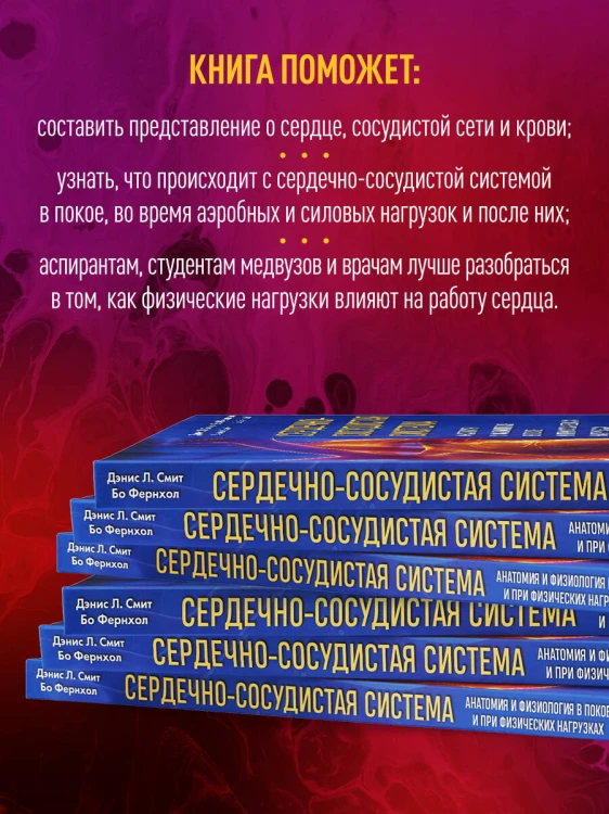Сердечно-сосудистая система. Анатомия и физиология в покое и при физических нагрузках
