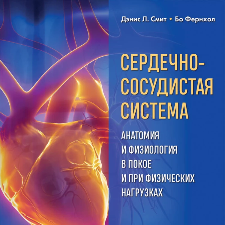 Сердечно-сосудистая система. Анатомия и физиология в покое и при физических нагрузках