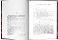 Флэш: преследование Барри Аллена