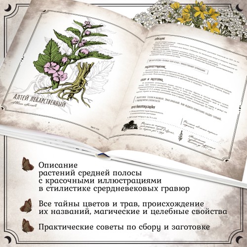 Тайны и магия растений. Путеводитель по миру трав и деревьев