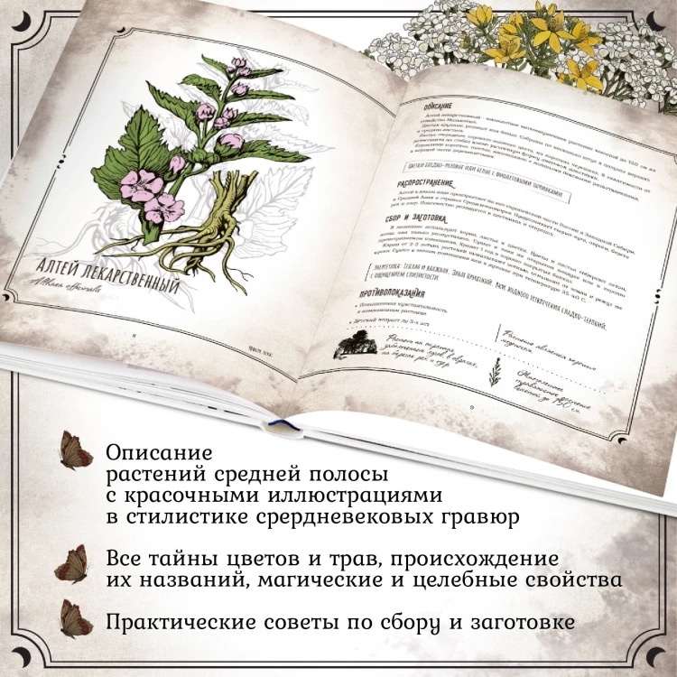 Тайны и магия растений. Путеводитель по миру трав и деревьев