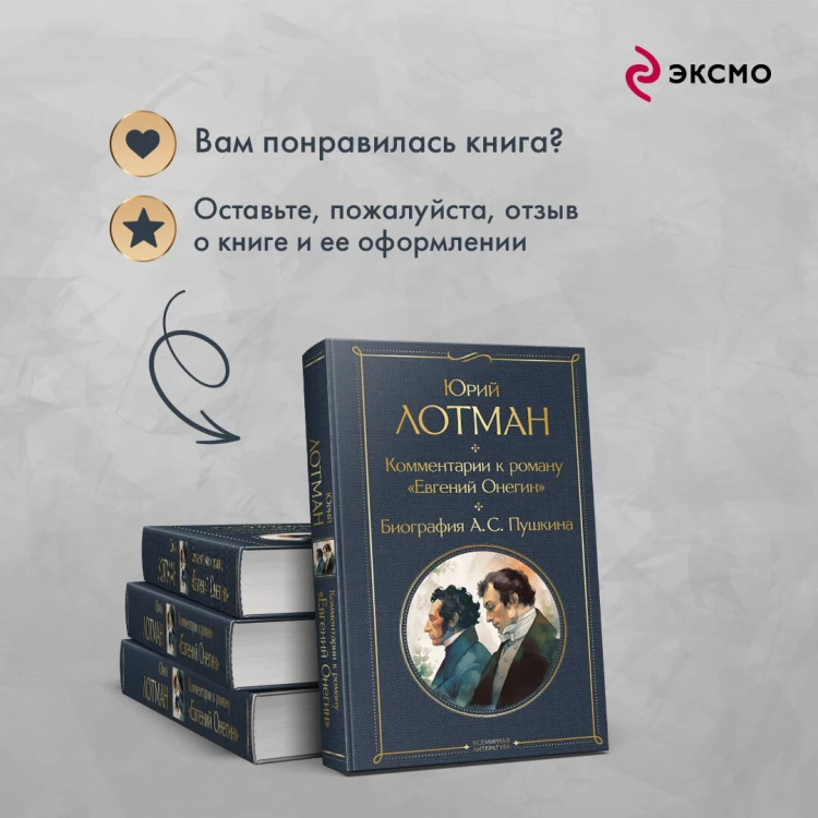 Комментарии к роману «Евгений Онегин». Биография А. С. Пушкина