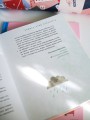 Просто о важном. Мира и Гоша взрослеют. Учимся говорить о своих чувствах