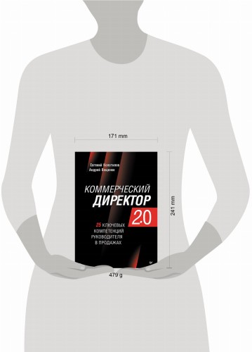 Коммерческий директор 2.0. 25 ключевых компетенций руководителя в продажах