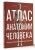 Атлас анатомии человека. Русско-латинско-английское издание