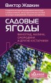 Садовые ягоды. Виноград, малина, смородина и другие кустарники