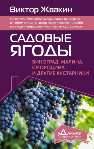 Садовые ягоды. Виноград, малина, смородина и другие кустарники