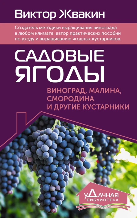 Садовые ягоды. Виноград, малина, смородина и другие кустарники