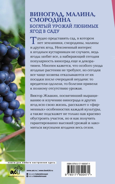 Виноград, малина, смородина. Богатый урожай любимых ягод в саду