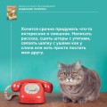 Кошичкин тилипон. Правдиви истори о котиках и их никчемни. Экспресс-помощь для тех, кто застрял в рутине и ищет вдохновение