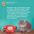 Кошичкин тилипон. Правдиви истори о котиках и их никчемни. Экспресс-помощь для тех, кто застрял в рутине и ищет вдохновение