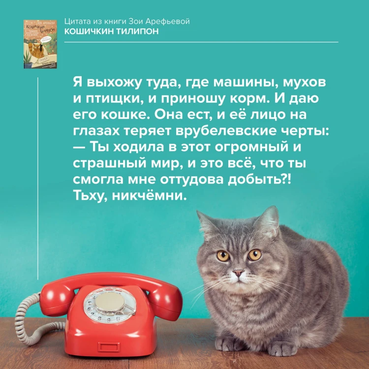 Кошичкин тилипон. Правдиви истори о котиках и их никчемни. Экспресс-помощь для тех, кто застрял в рутине и ищет вдохновение