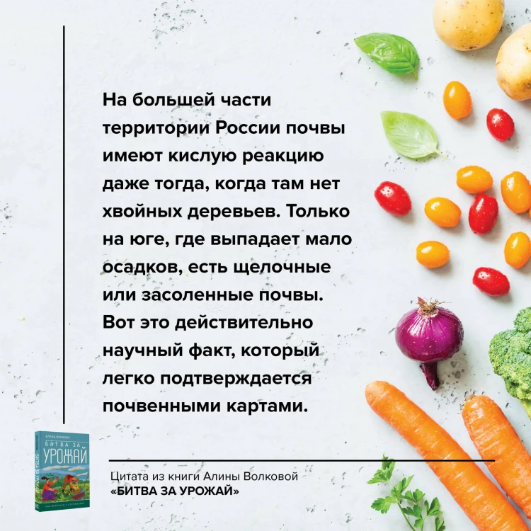 Битва за урожай. Как бороться с сорняками