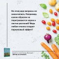 Битва за урожай. Как бороться с сорняками