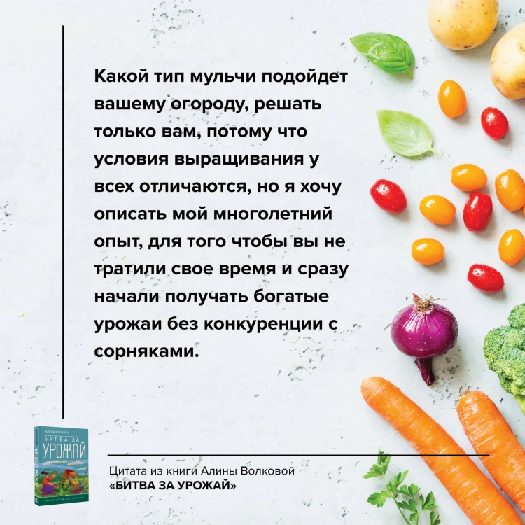Битва за урожай. Как бороться с сорняками