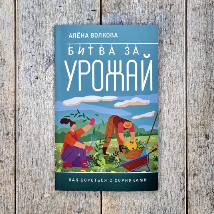 Битва за урожай. Как бороться с сорняками
