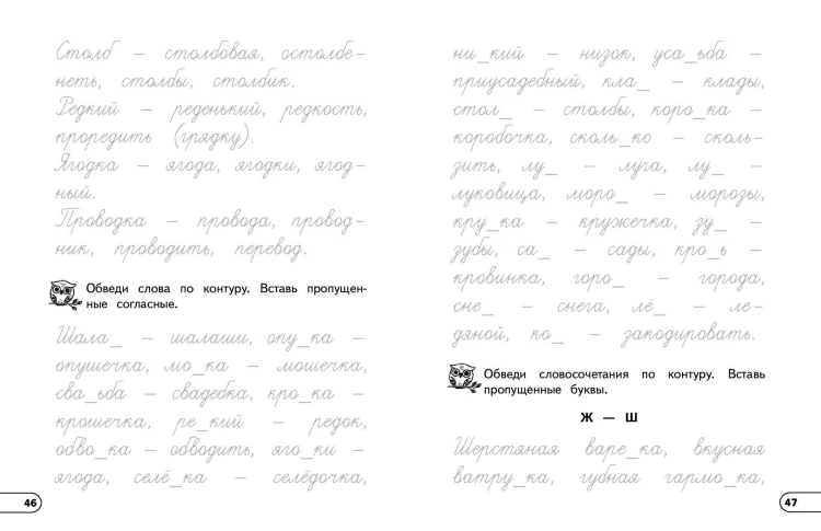 Профилактика дисграфии и дислексии. Нейропсихологический тренажёр