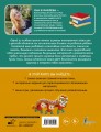 Китайский язык. Визуальная грамматика для школьников