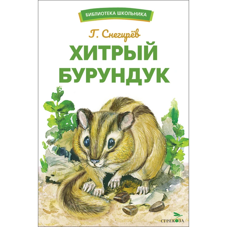БШ. Хитрый бурундук