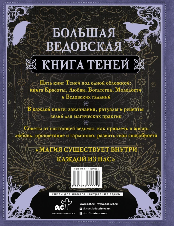 Большая ведьмовская книга заклинаний, ритуалов и обрядов. Магические практики. Книга теней